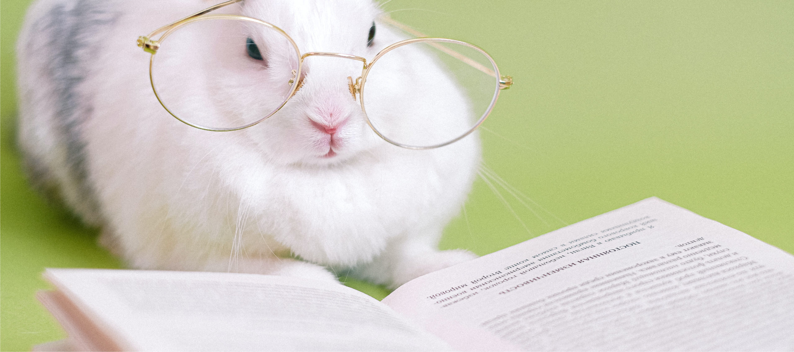 Educational animal use - andrewknight.info