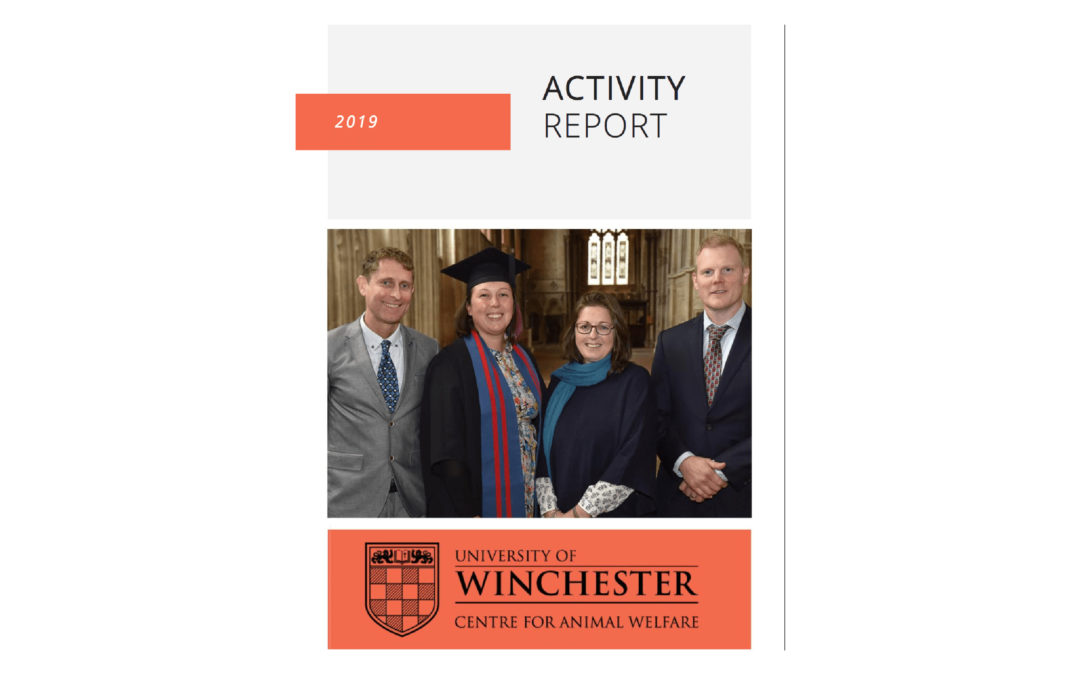 Report: CAW Activity Report 2019