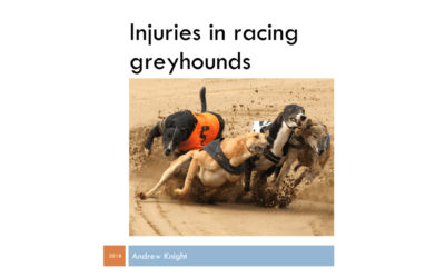 Report: Injuries in Racing Greyhounds