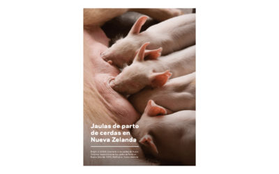 Report: sow crates – Spanish