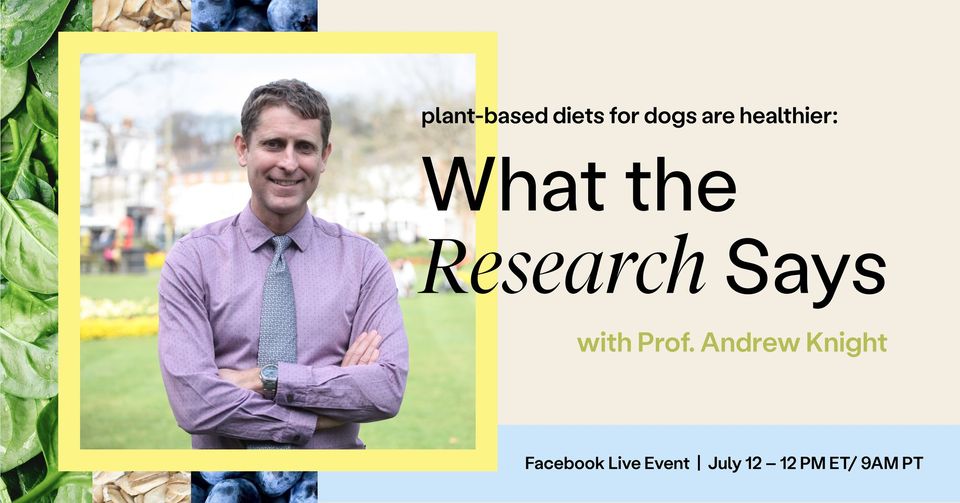 Plant-Based Diets for Dogs are Healthier: What the Research Says – free webinar. TUESDAY, 12 JULY 2022 AT 17:00 UTC+01