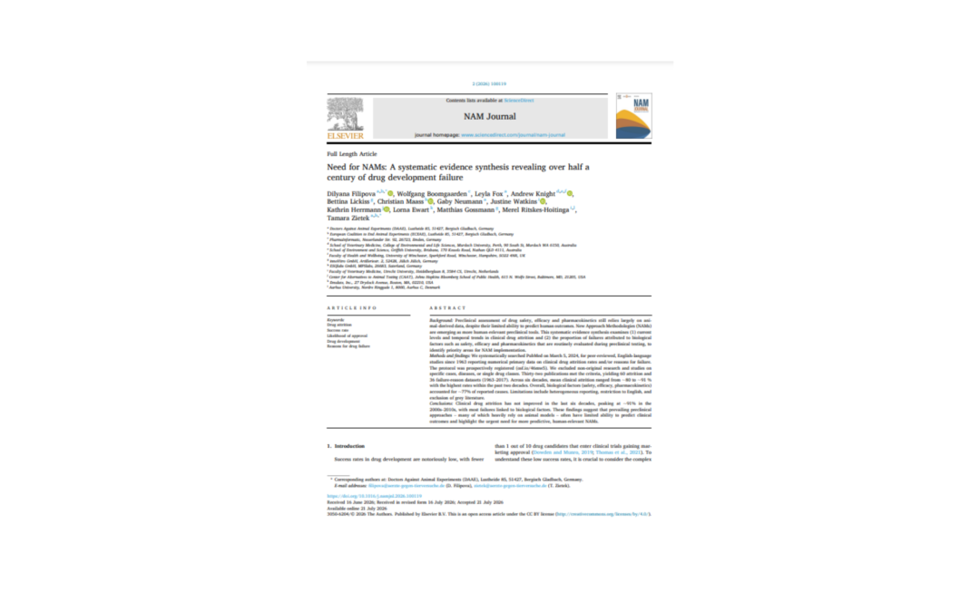 Article: animal research