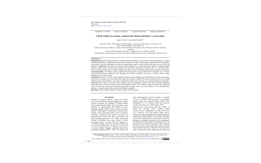 Article: Hatchery chick welfare