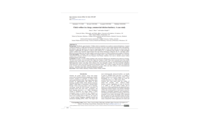 Article: chicken welfare