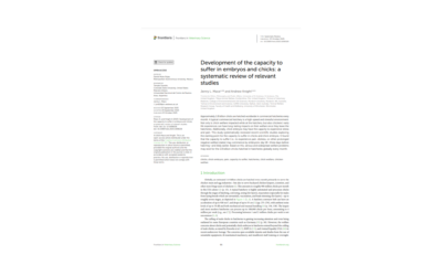 Article: chicks and embryos