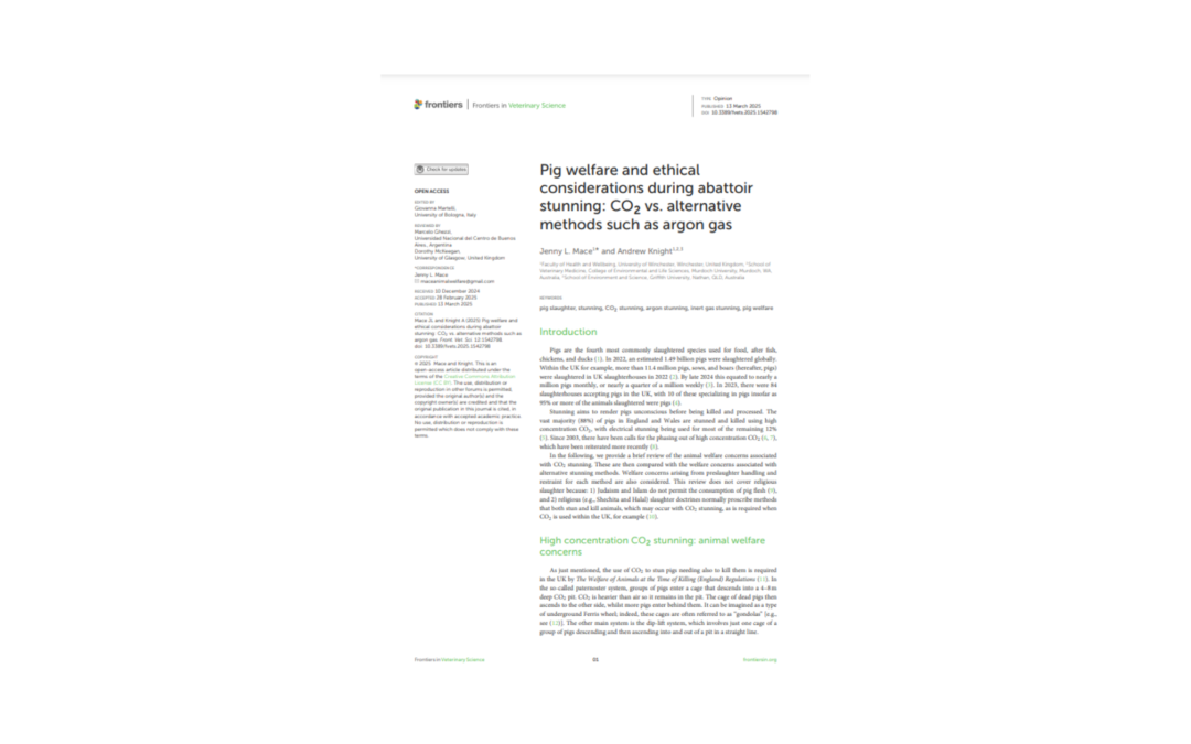 Article: pig welfare