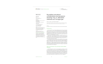 Article: pig welfare